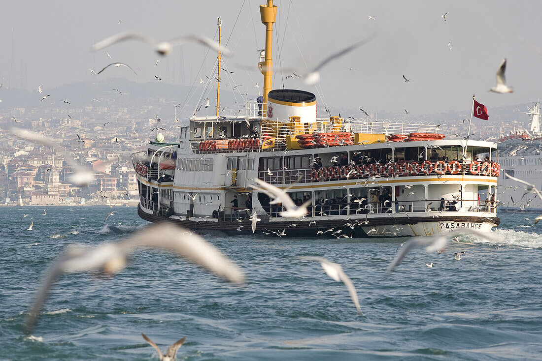 Istanbul, Turkey - January, 2008:Flock of sea gulls following ferry boat traffic in Istanbul, Turkey across the Bosphorus, which separates Europe from Asia.