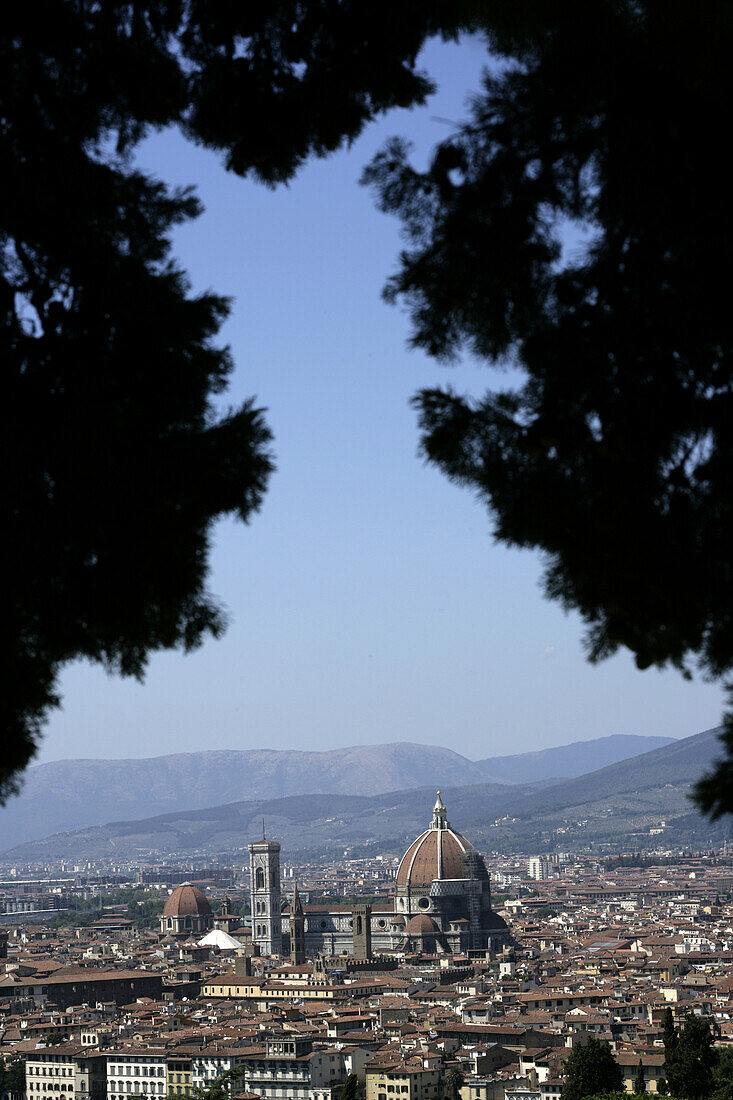 High angle view of the city between tall trees in Florence, Italy
