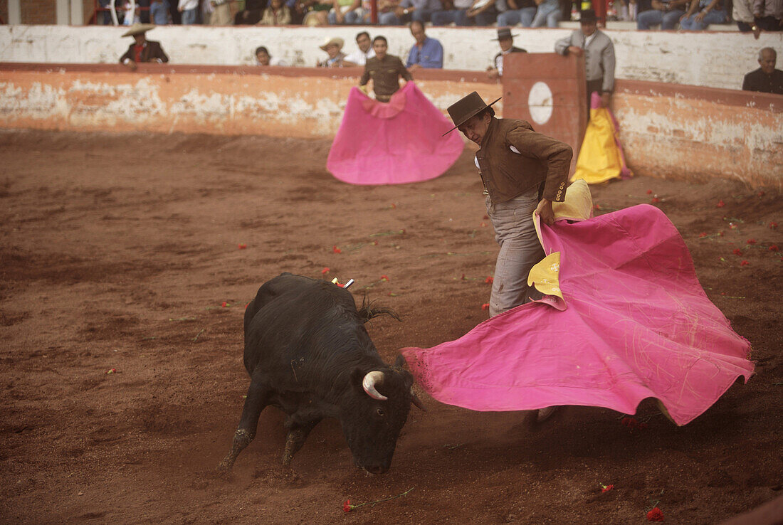 A bullfighter performs during a bullfight in Mexico City, September 13, 2008.