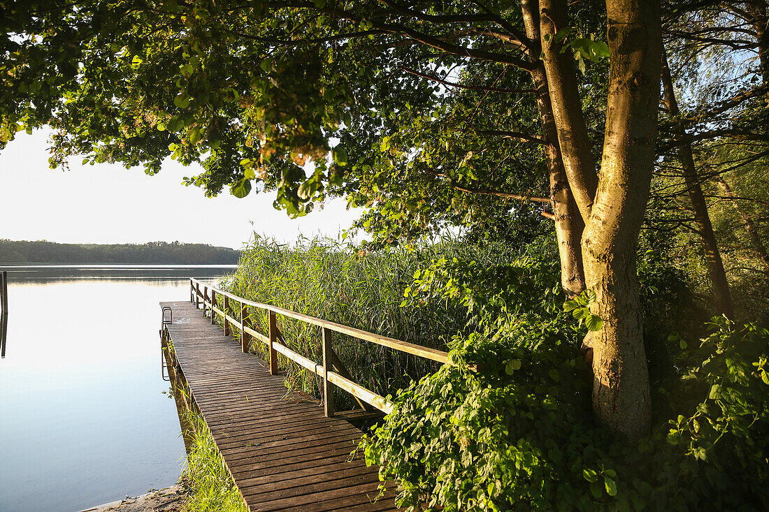 Bootssteg am See in der Abenddämmerung, Biosphärenreservat Schorfheide-Chorin, Neudorf, Friedenfelde, Uckermark, Brandenburg, Deutschland