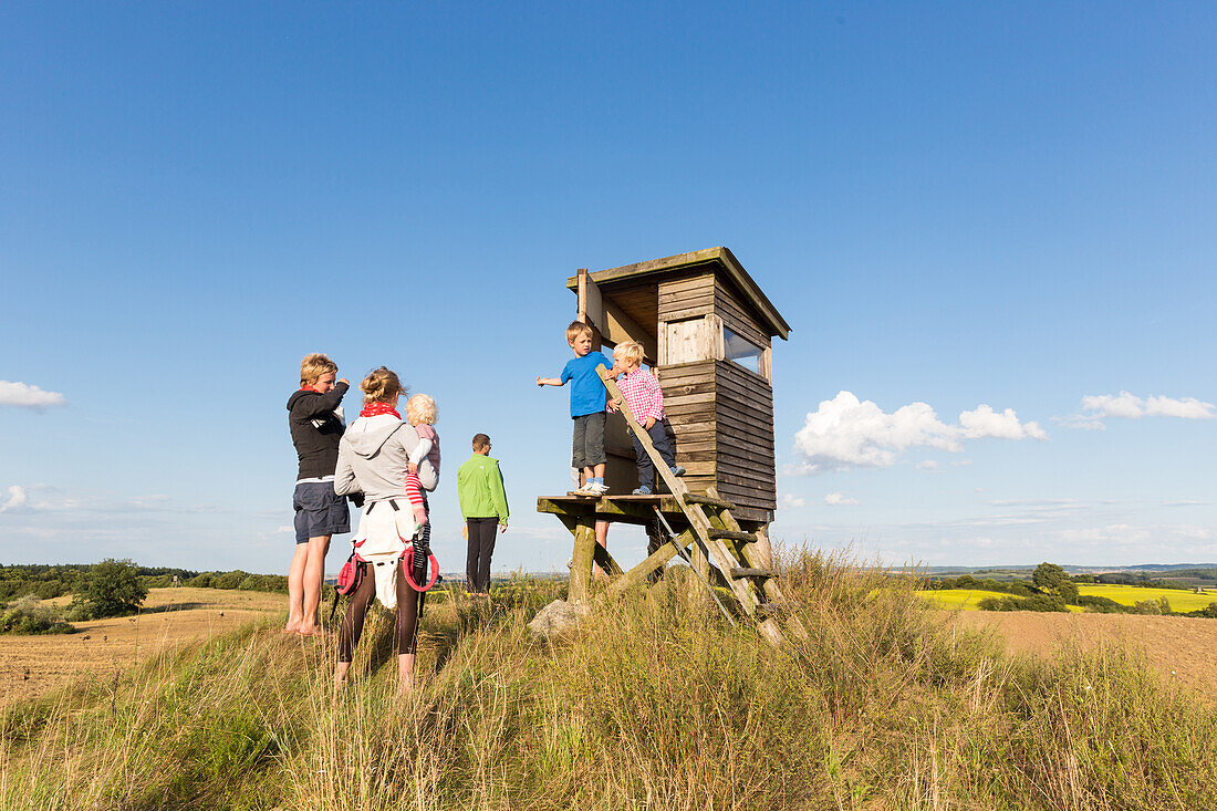 Gruppe Wanderer an einem Hochstand am Aussichtspunkt Schwarzer Berg, Biosphärenreservat Schorfheide-Chorin, Uckermark, Brandenburg, Deutschland