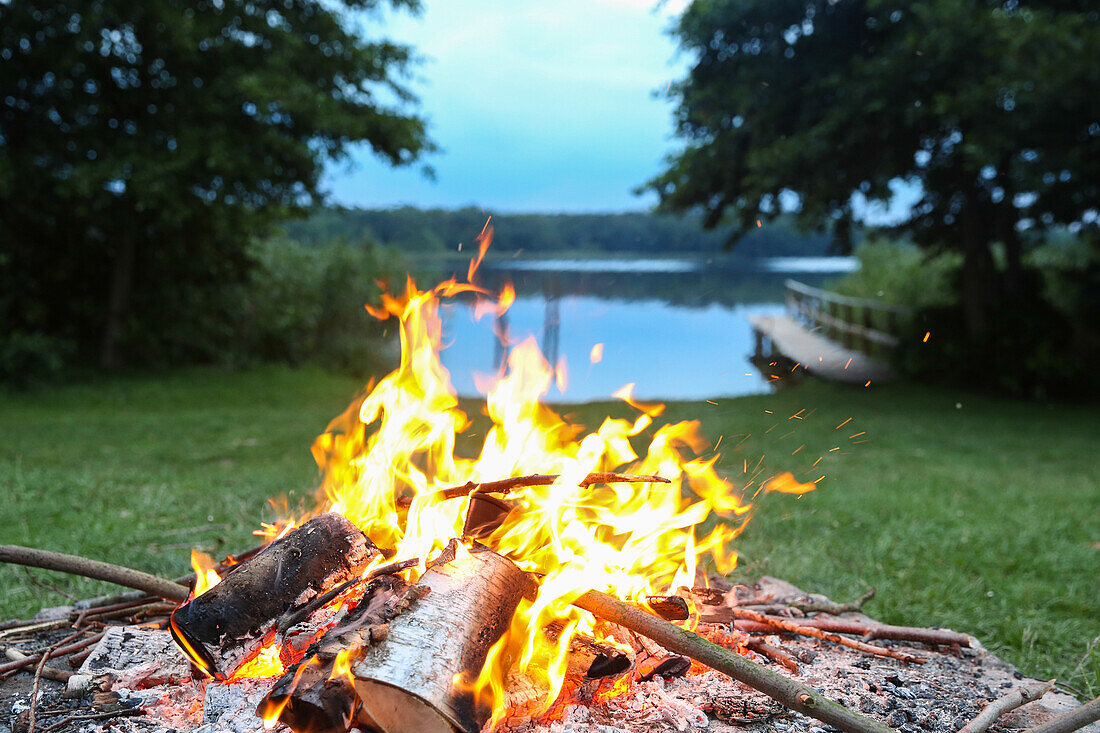 Campfire near a lake, Schorfheide-Chorin Biosphere Reserve, Neudorf, Friedenfelde, Uckermark, Brandenburg, Germany