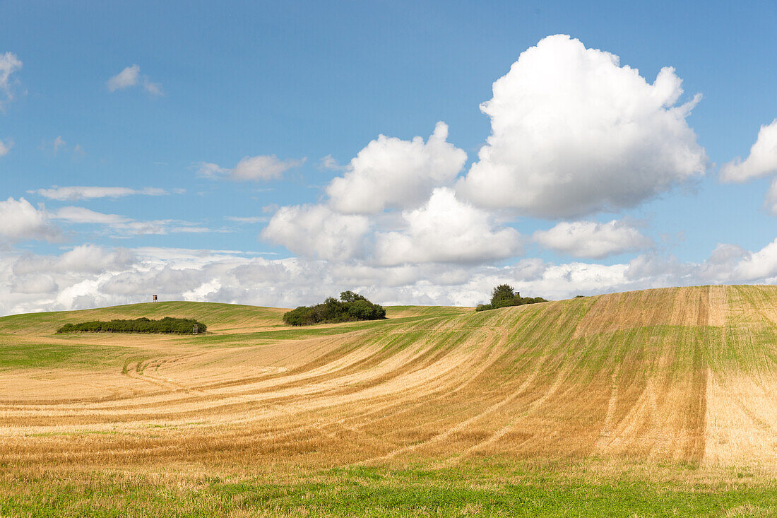 Scenery with fields in summer, Schorfheide-Chorin Biosphere Reserve, Uckermark, Brandenburg, Germany