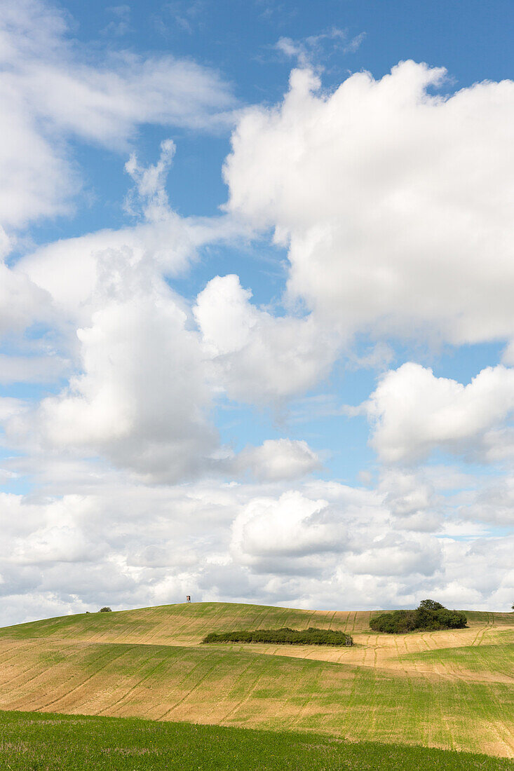 Felderlandschaft im Sommer, Biosphärenreservat Schorfheide-Chorin, Uckermark, Brandenburg, Deutschland