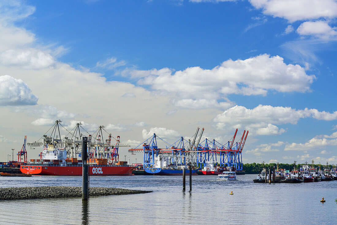 Container ships at container terminal Waltershof on the river Elbe, Waltershof, Hamburg, Germany