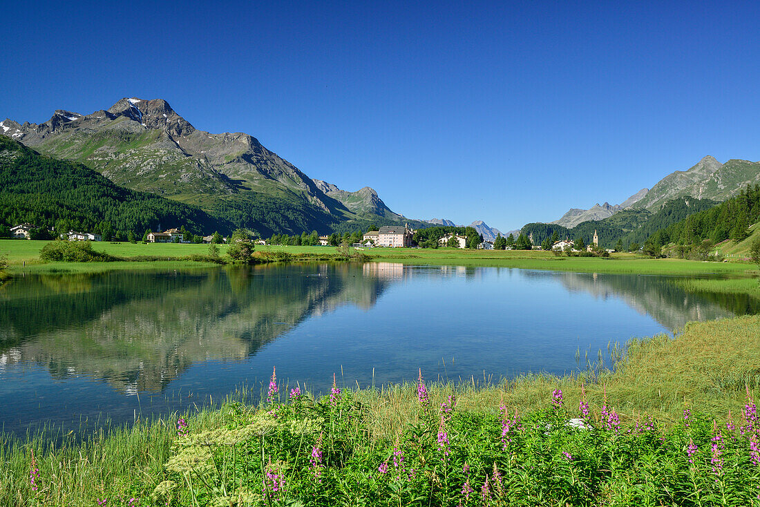 Blick über Inn auf Sils-Baselgia mit Piz la Margna und Bergell im Hintergrund, Sils, Oberengadin, Engadin, Graubünden, Schweiz