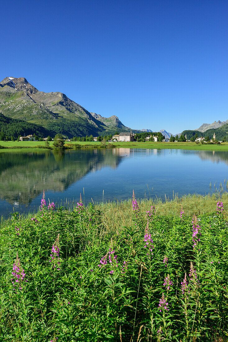 View over Inn river to Sils-Baselgia with Piz la Margna and Bergell range in background, Sils, Upper Engadin, Engadin, Canton of Graubuenden, Switzerland