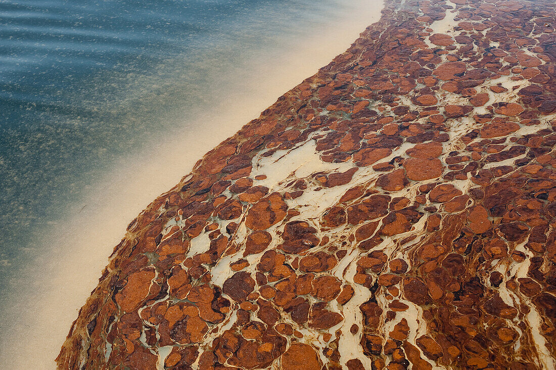 off Gulf Coast, LA - May 5, 2010 Emulsified oil, known as mousse, from the Deepwater Horizon wellhead on the surface of the Gulf of Mexico. The oil has turned red in color due to oxidation.