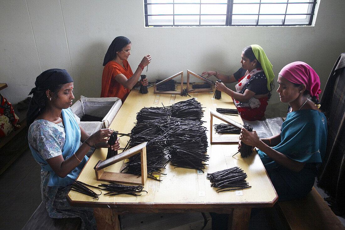 Female workers sorting vanilla beans