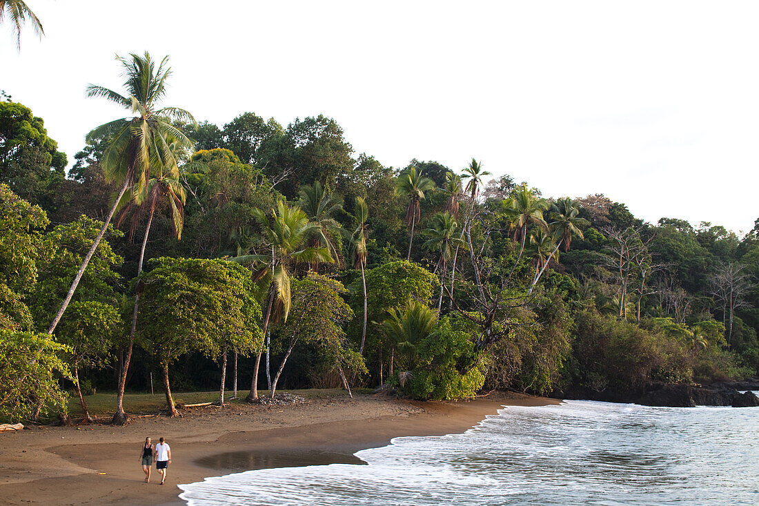 DRAKE BAY, OSO PENINSULA, COSTA RICA. A woman and a man walk down the beach together at dusk beneath palm trees.