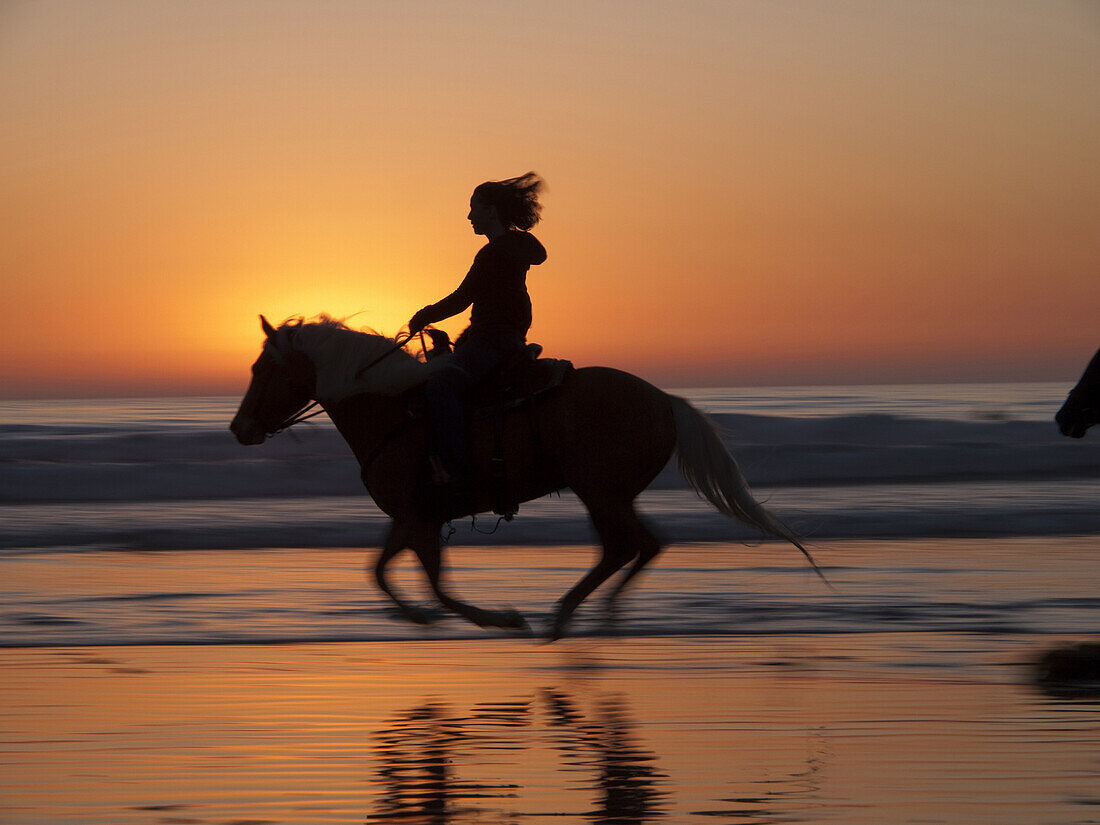 Riding horses on the beach in Morro Bay, California, United States America