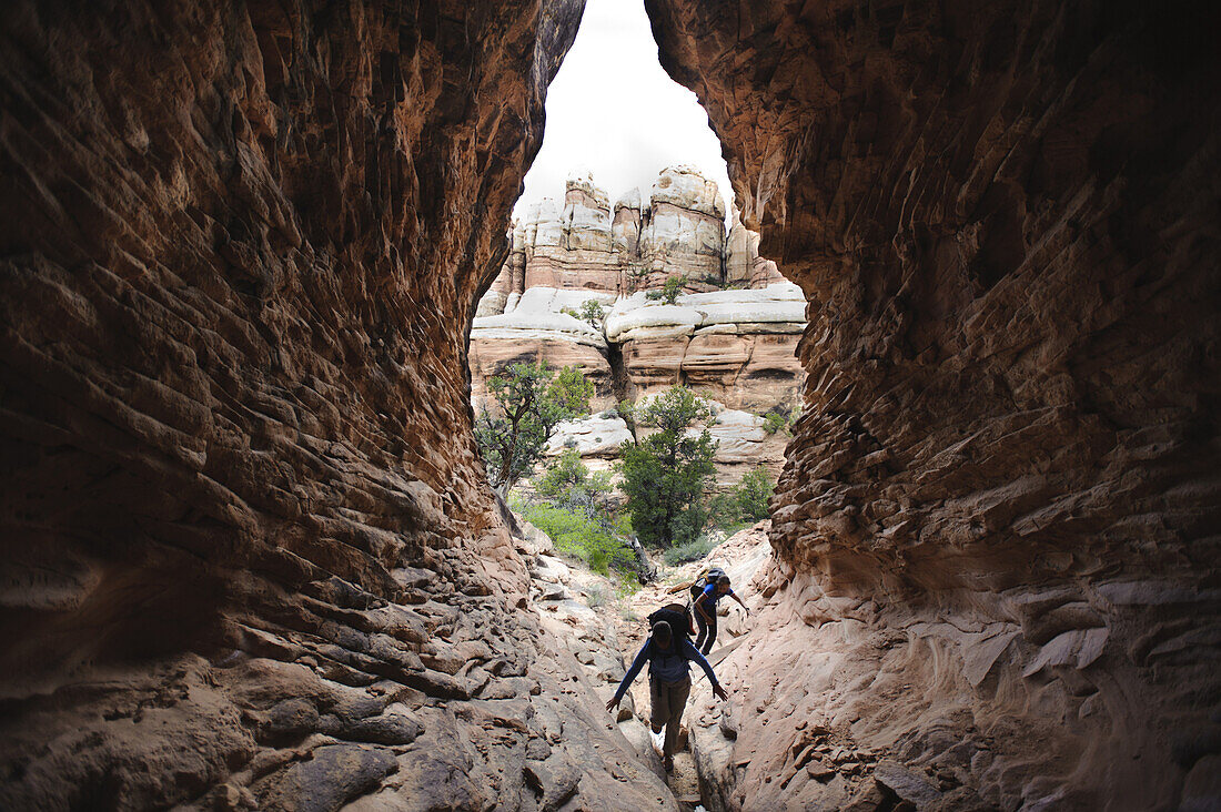 USGS science team on the trail to Virginia Park where their grass/soil study is, Canyonlands NP, UT.