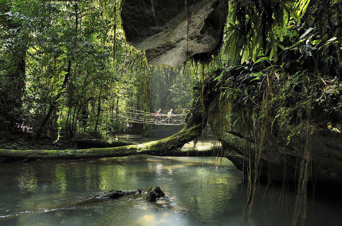 Jungle vines and turquoise waters of Lubang Cina in Gunung Mulu National Park, Sarawak, Malaysia