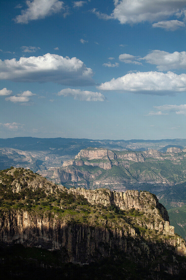 View of the Copper Canyon the Mirador Cerro del Gallego,  near Urique in Chihuahua  Mexico.