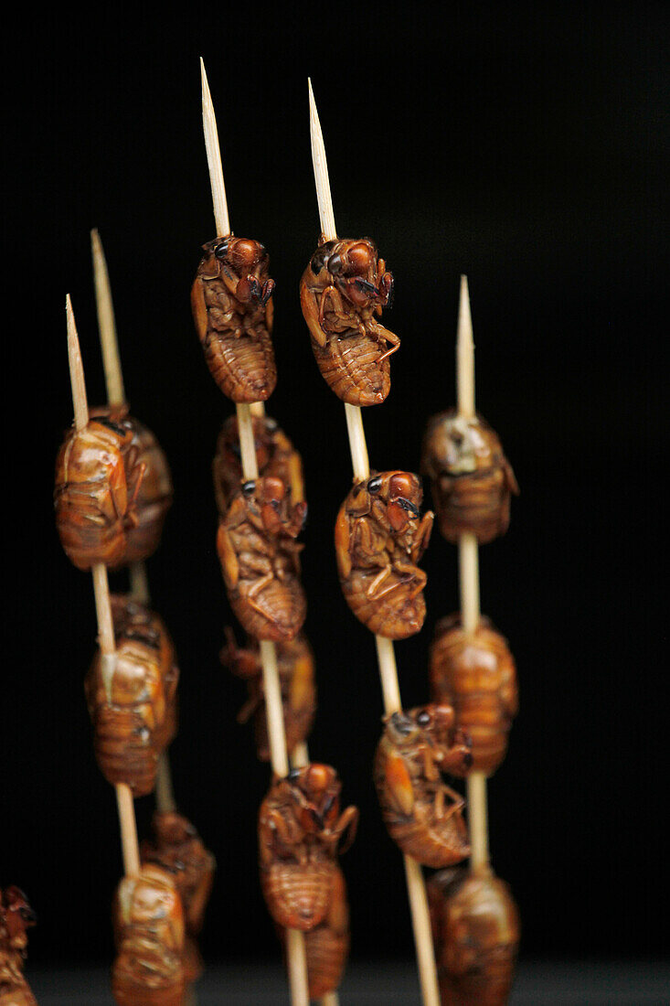 Roasted insects on sticks for eating as a snack