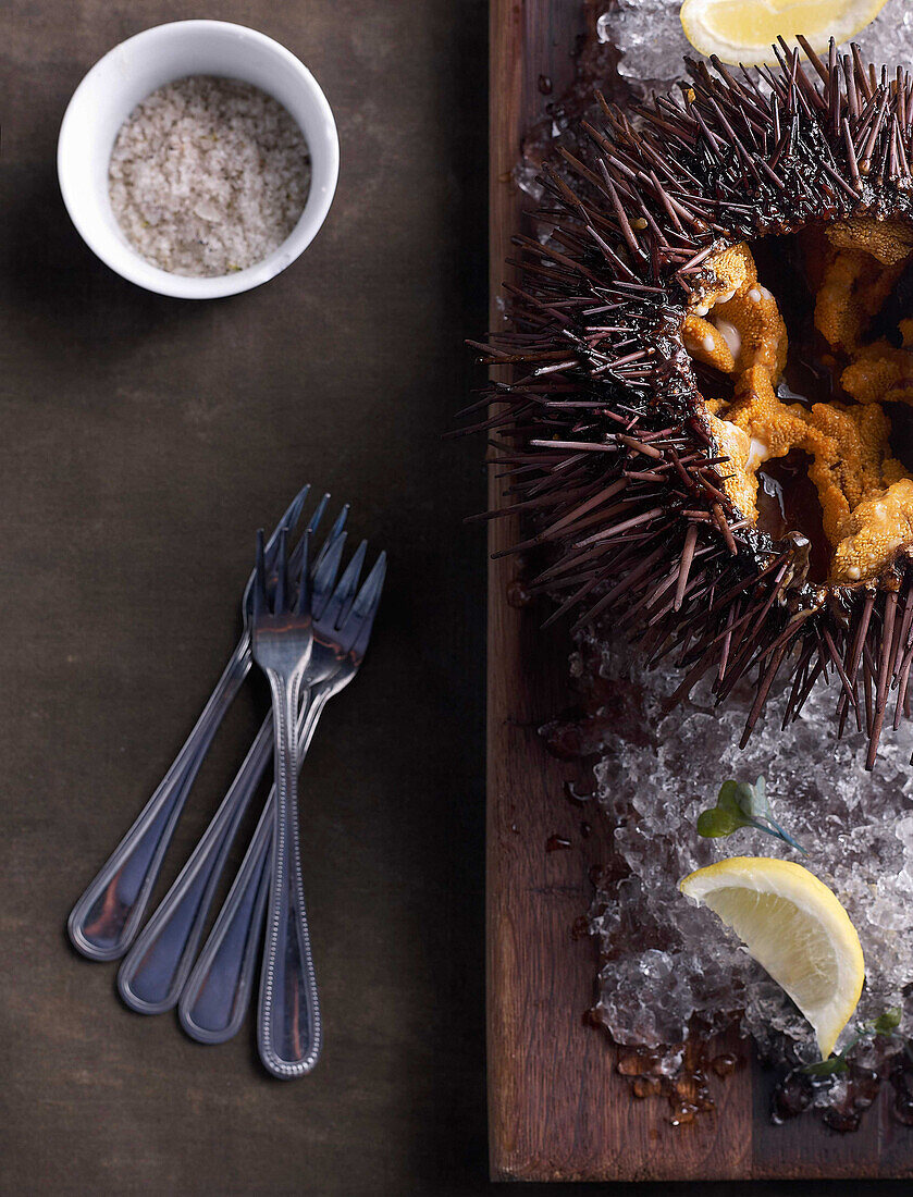 A sea urchin ready for eating sits on a table at the Sea Rocket Bistro restaurant in San Diego,  Ca. The urchin was caught only hours earlier by a San Diego diver,  who personally delivers his catch to various seafood restaurants in the area.