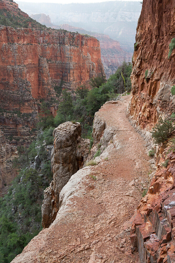 North Kaibab trail, North Rim Grand Canyon National Park, Arizona.