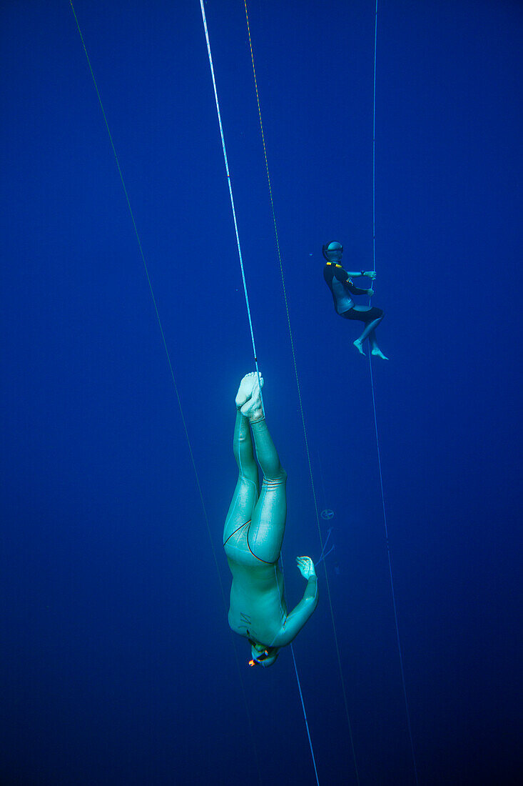 Staff and safety divers acclimate with pull-downs and practice dives around the competition area - platforms, red safety floats, and dive lines -  before the start of the DeJa Blue freediving competition.