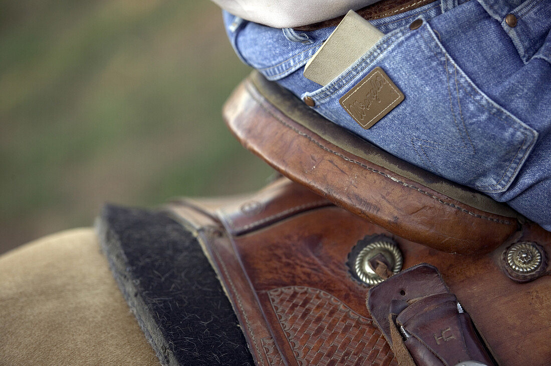 Texas saddle and wrangler jeans.