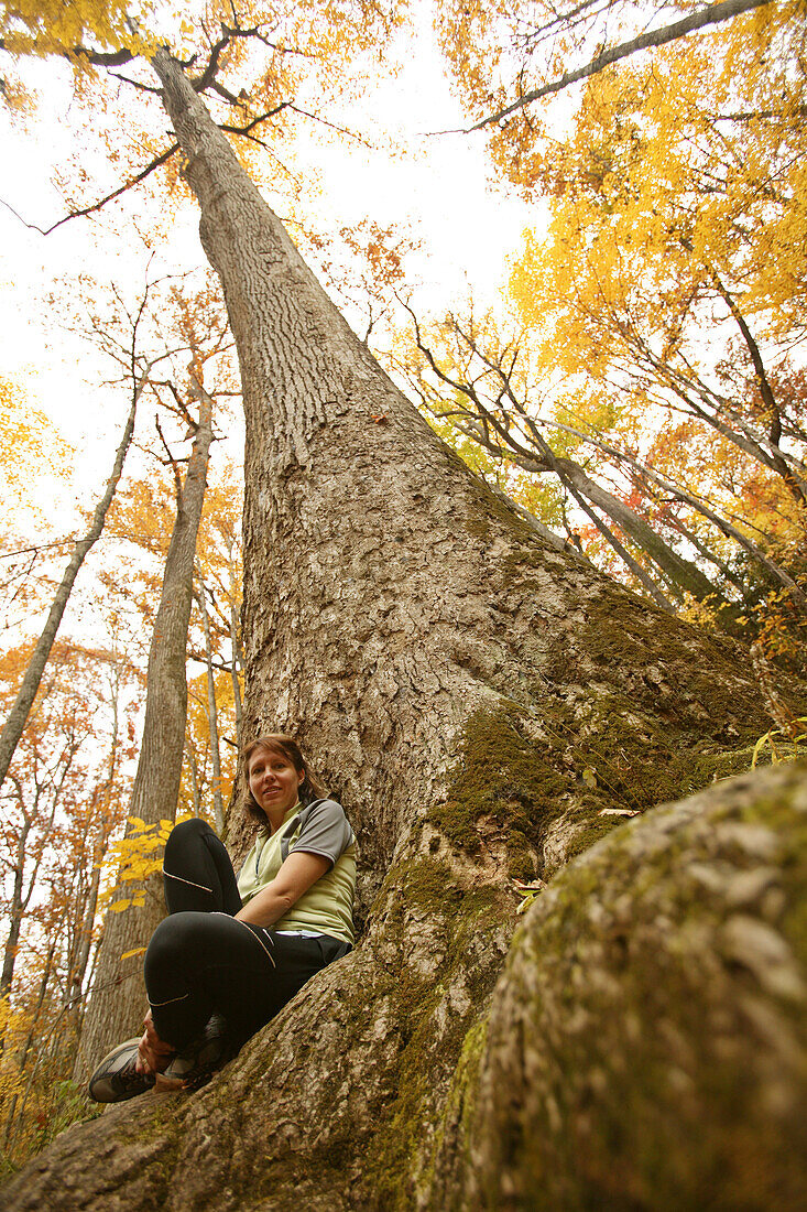 Rose Cowles sitting at the base of an old-growth poplar tree on the Boogerman Loop trail in the Cataloochee area of the Great Smoky Mountains National Park, NC