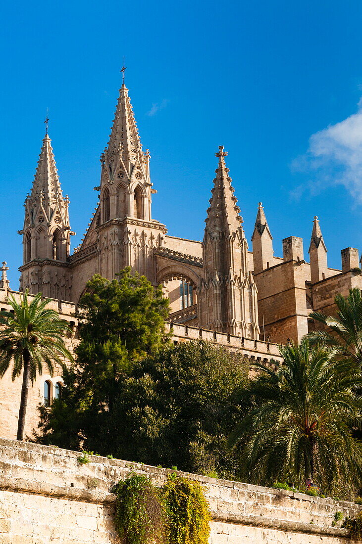 Cathedral of Santa Maria of Palma (La Seu), Palma de Mallorca, Majorca, Balearic Islands, Spain, Europe