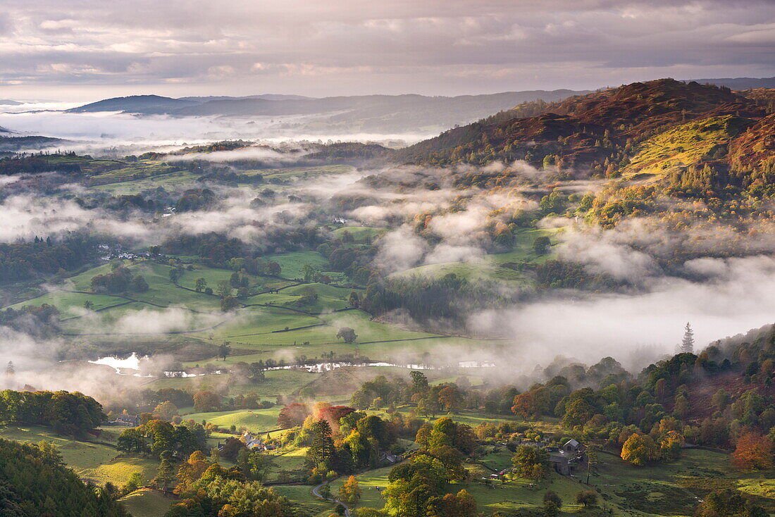 Patches of morning mist float above countryside near the River Brathay in autumn, Lake District National Park, Cumbria, England, United Kingdom, Europe
