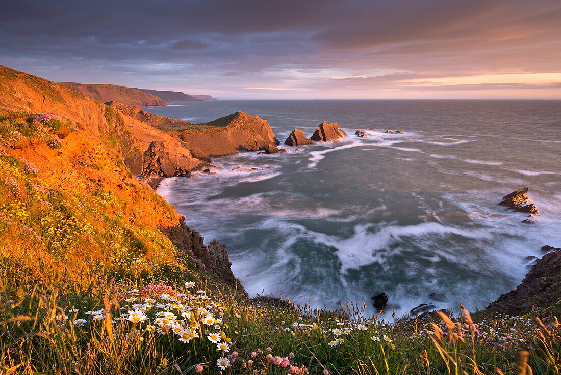 Glorious evening sunlight illuminates the dramatic cliffs of Hartland Quay, looking towards Screda Point, Devon, England, United Kingdom, Europe