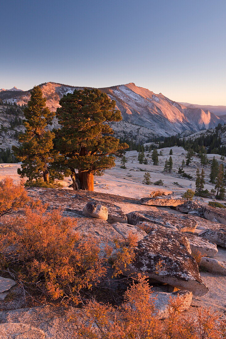 Clouds Rest mountain in the High Sierras in autumn, viewed from above Olmstead Point, Yosemite, California, United States of America, North America