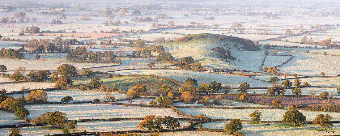 The Somerset Levels covered in morning frost, Westbury-Sub-Mendip, Somerset, England, United Kingdom, Europe