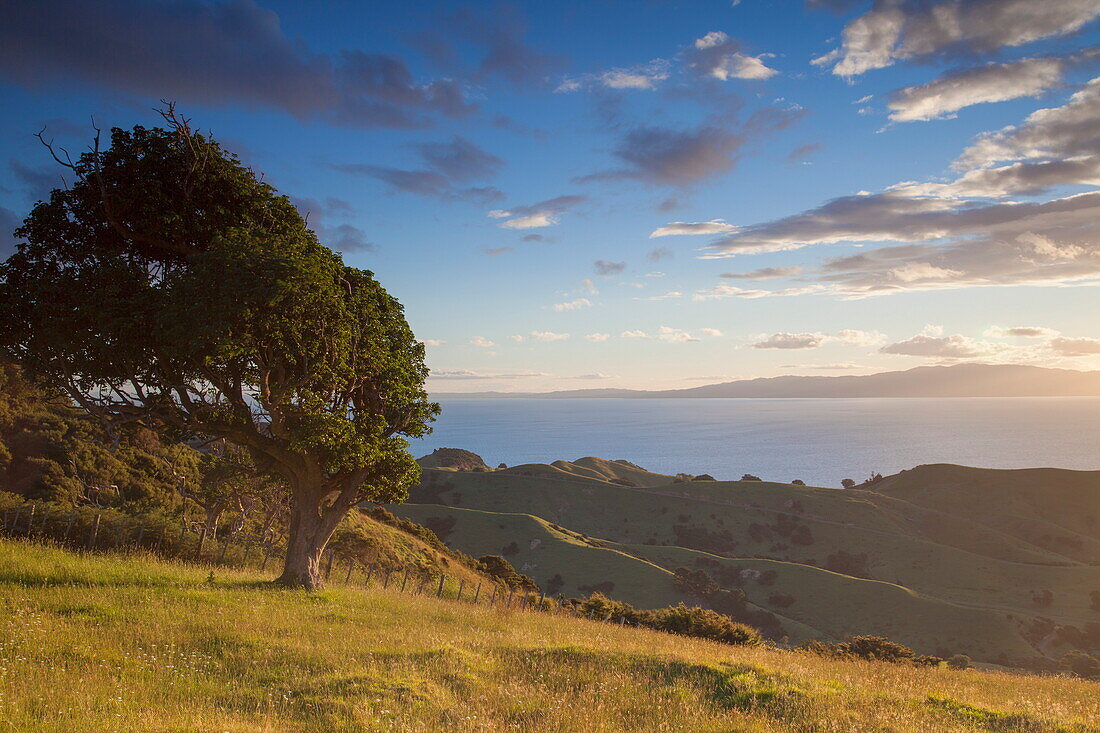 View of Firth of Thames, Coromandel Peninsula, Waikato, North Island, New Zealand, Pacific