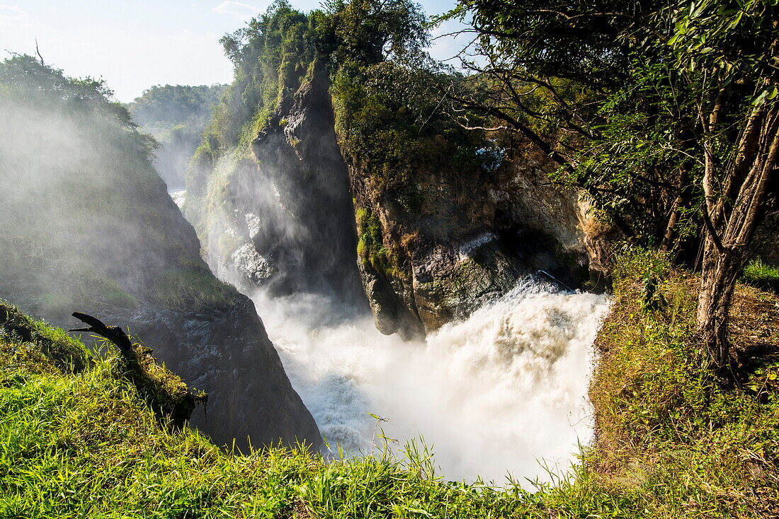 Murchison Falls (Kabarega Falls) on the Nile, Murchison Falls National Park, Uganda, East Africa, Africa