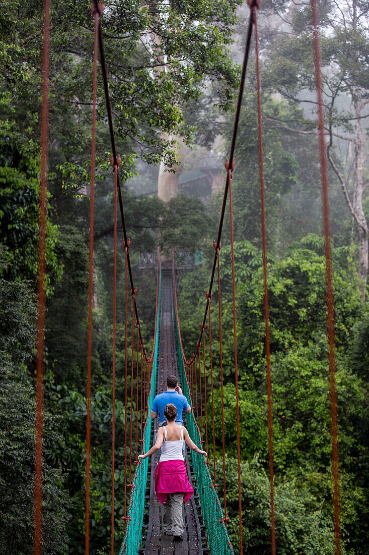 Tourists on the canopy walkway in Danum Valley, Sabah, Malaysian Borneo, Malaysia, Southeast Asia, Asia
