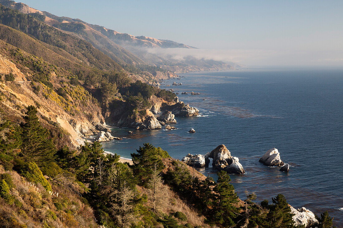 Coastline at Julia Pfeiffer Burns State Park, Big Sur, Monterey County, California, United States of America, North America