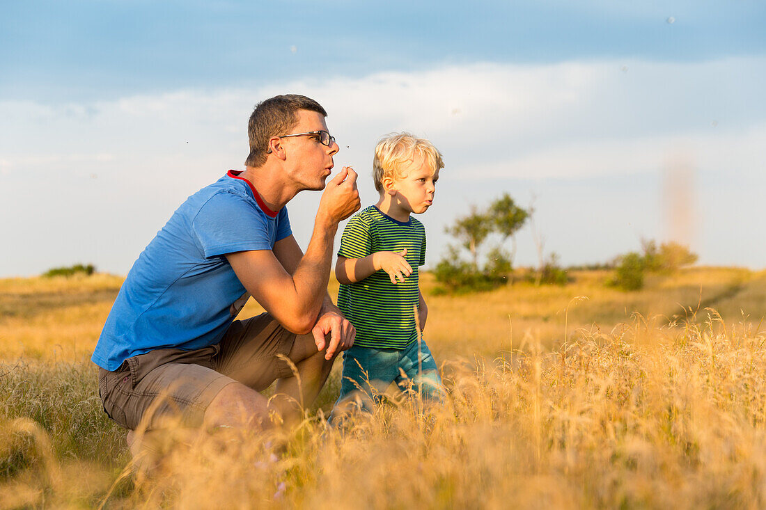 Father and son (4 years) in a meadow, Marielyst, Falster, Denmark