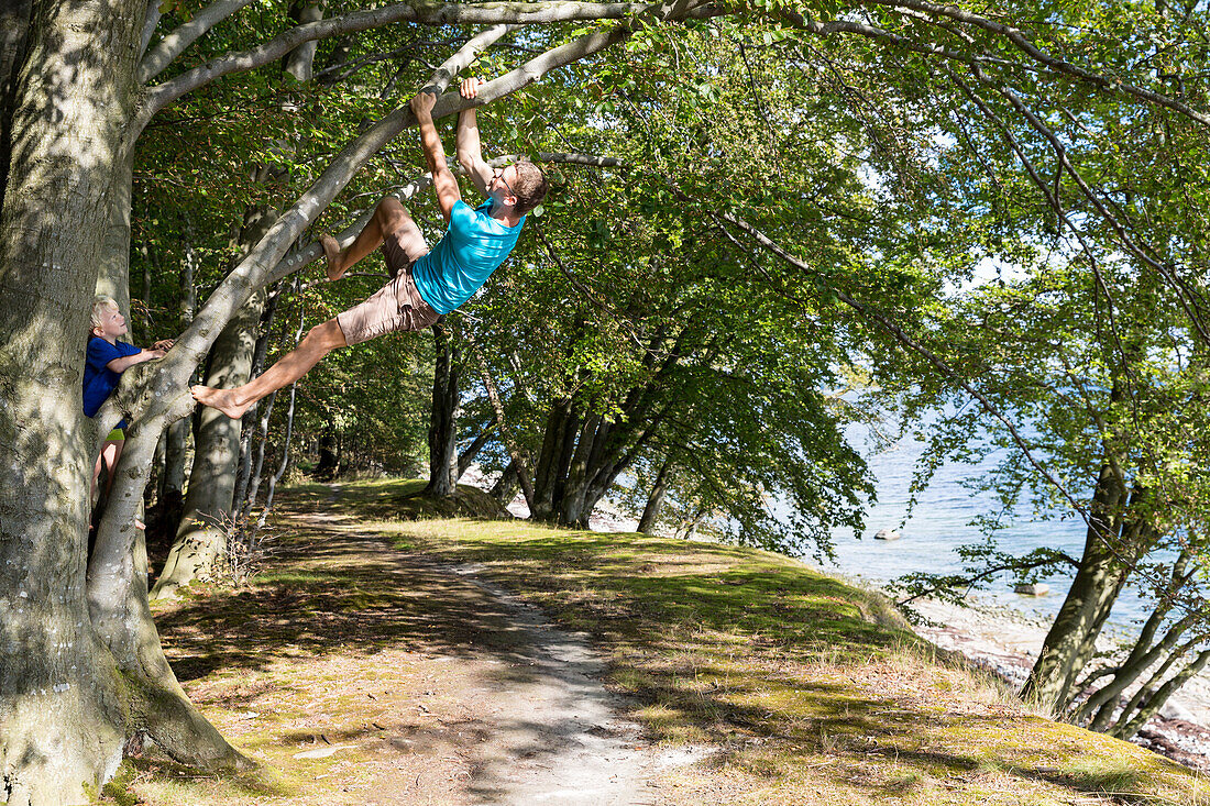 Father and son (4 years) climbing on a tree, Naesgaard, Falster, Denmark