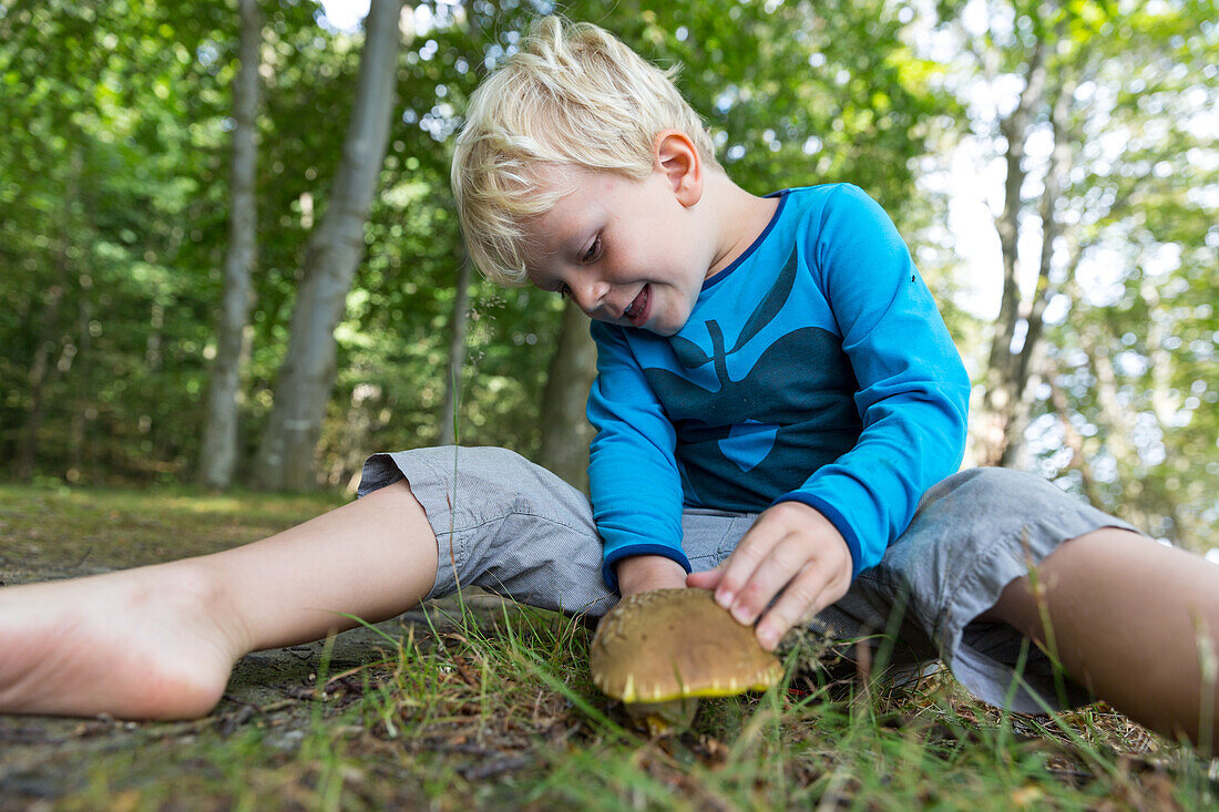 Boy (4 years) finding a mushroom in forest, Naesgaard, Falster, Denmark