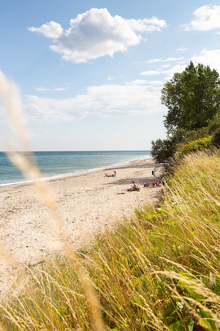 Sandy beach at Baltic Sea, Rytsebaek, Mon island, Denmark