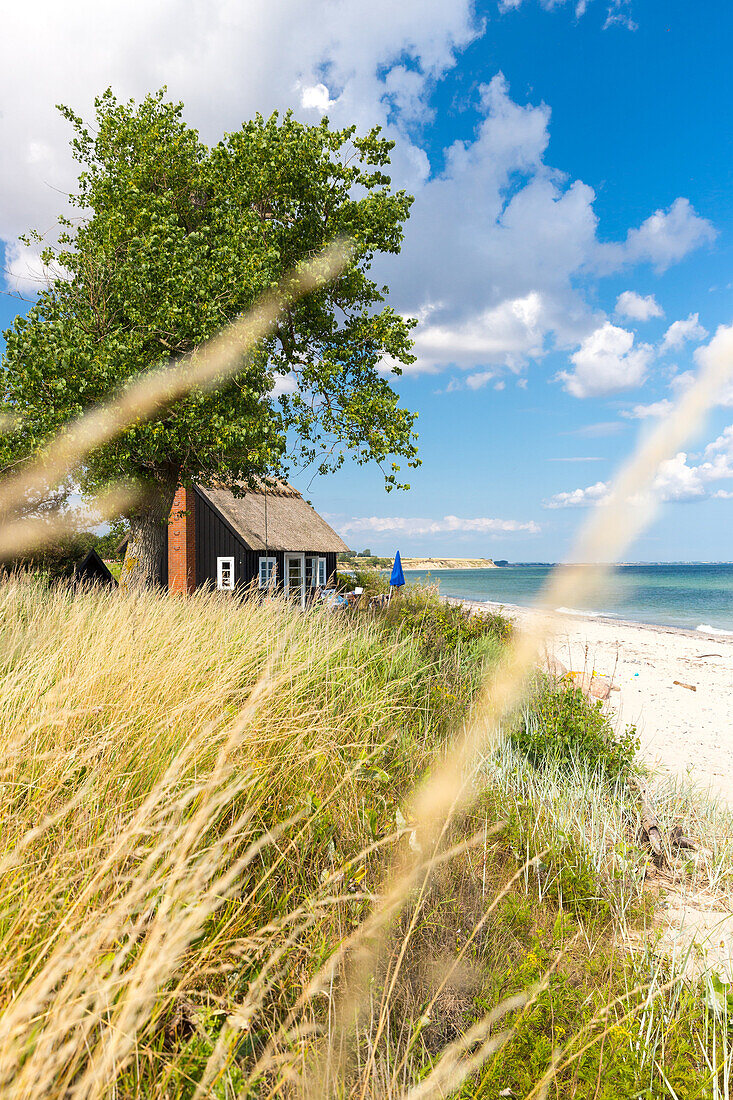 House at Baltic Sea beach, Rytsebaek, Mon island, Denmark