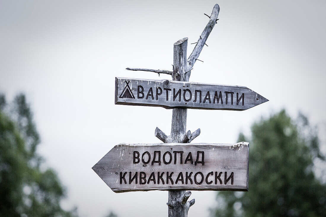 Wooden sign post, Paanajaervi National Park, Republic of Karelia, Russia