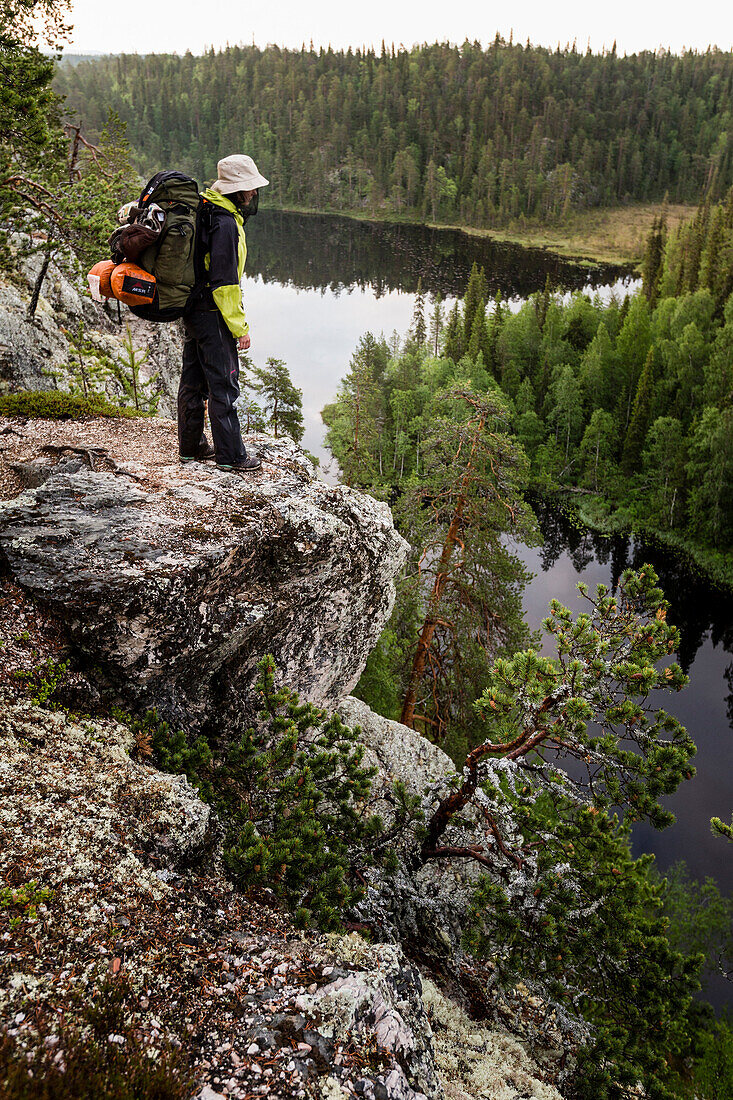 Wanderin um Mitternacht auf der Felsklippe Ristikallio, Bärenrunde, Karhunkierros, Nationalpark Oulanka, Nordösterbotten, Finnland