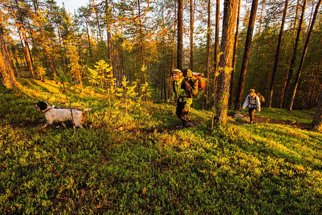 Two women hiking in the midnight sun, Oulanka National Park, Northern Ostrobothnia, Finland