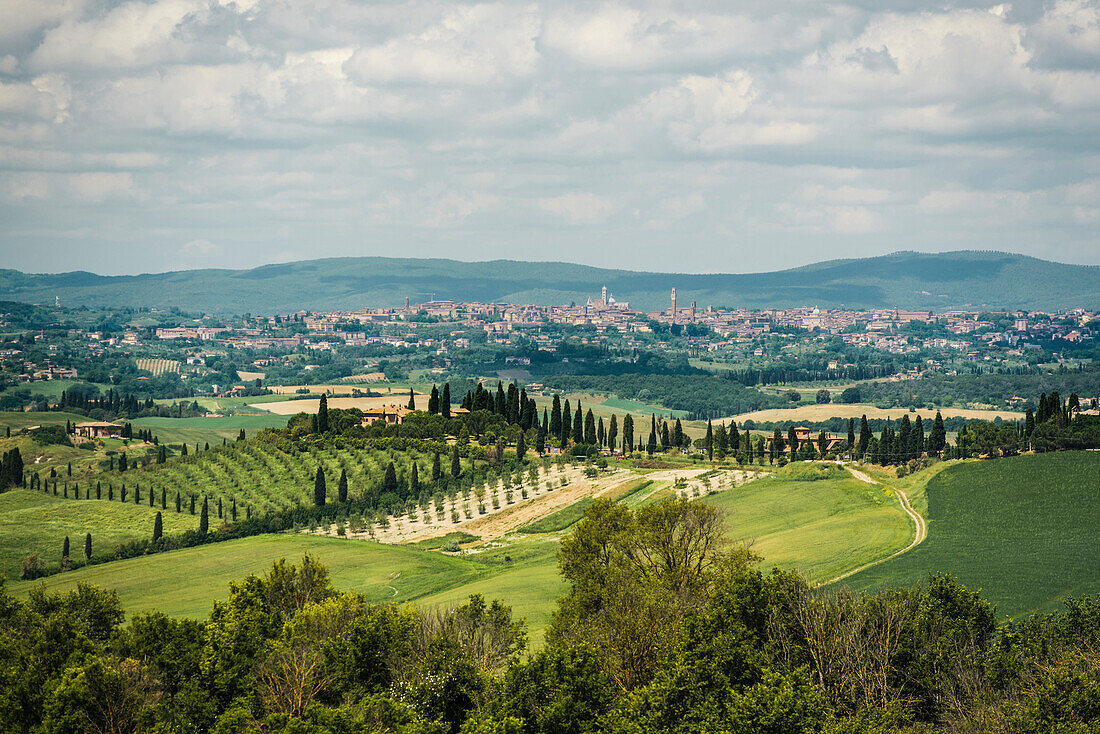 Landscape near Crete Senesi, near Siena, Tuscany, Italy