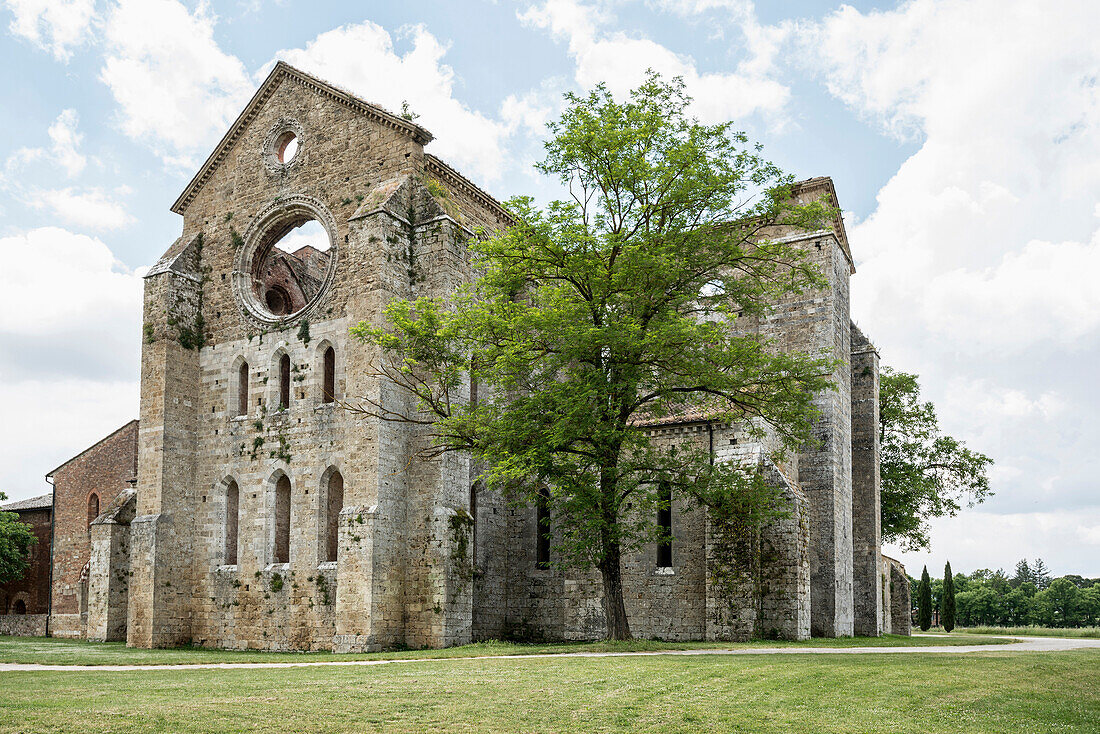 Abbazia di Sant'Antimo, near Montalcino, Tuscany, Italy