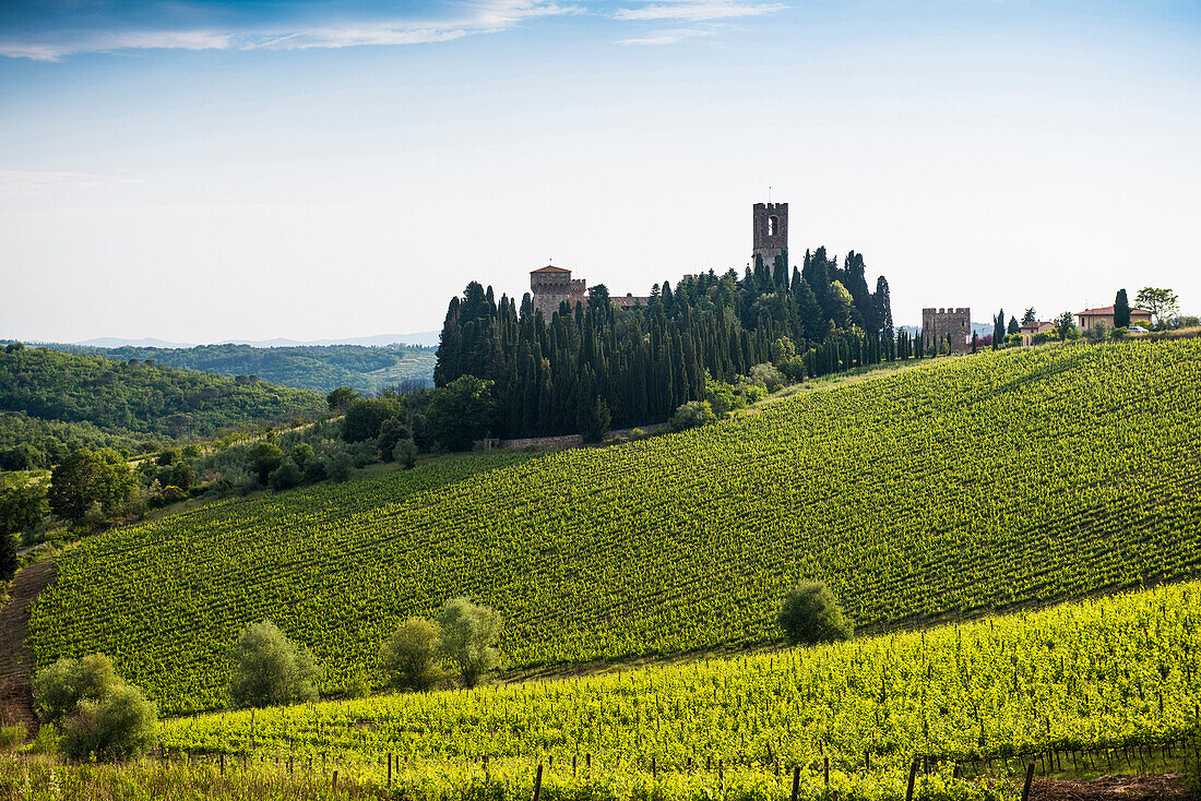 Badia di Passignano, bei Greve, Chianti, Toskana, Italien