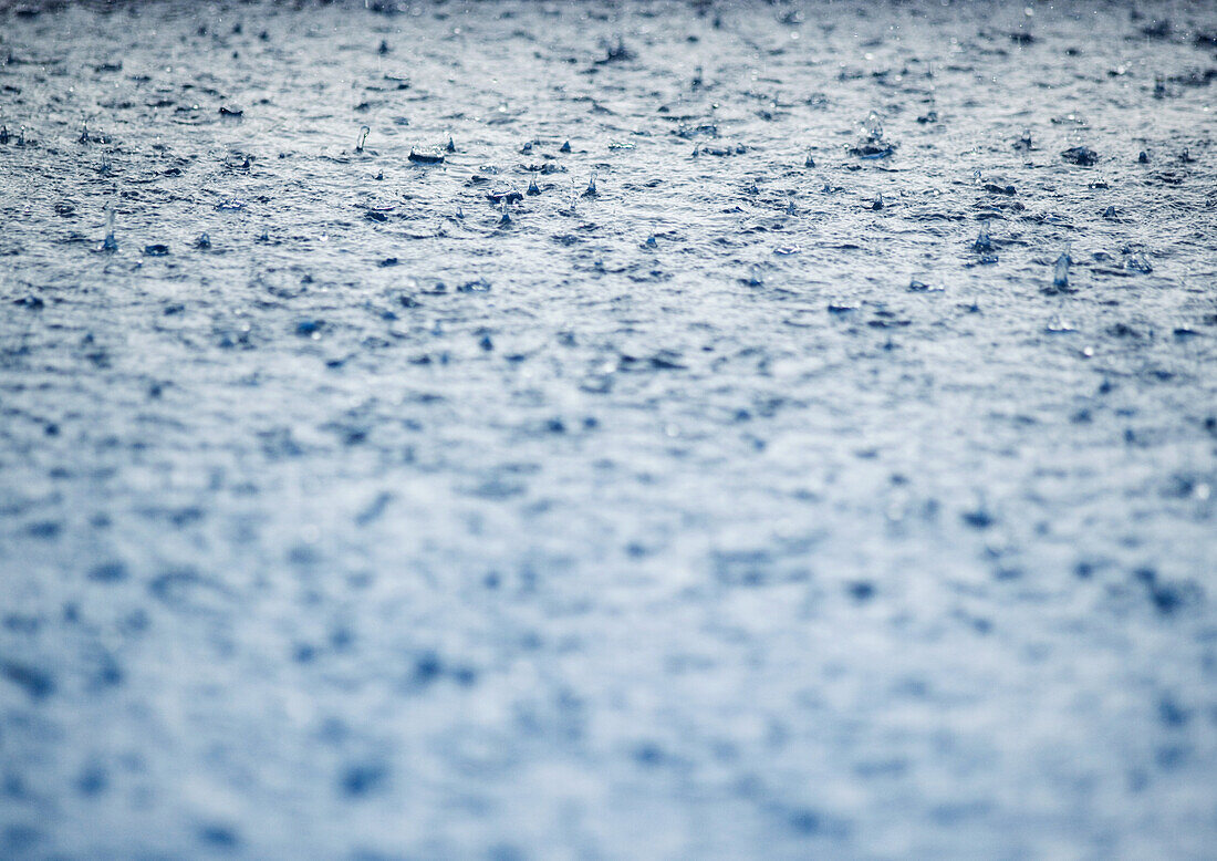 Rain falling on surface of water