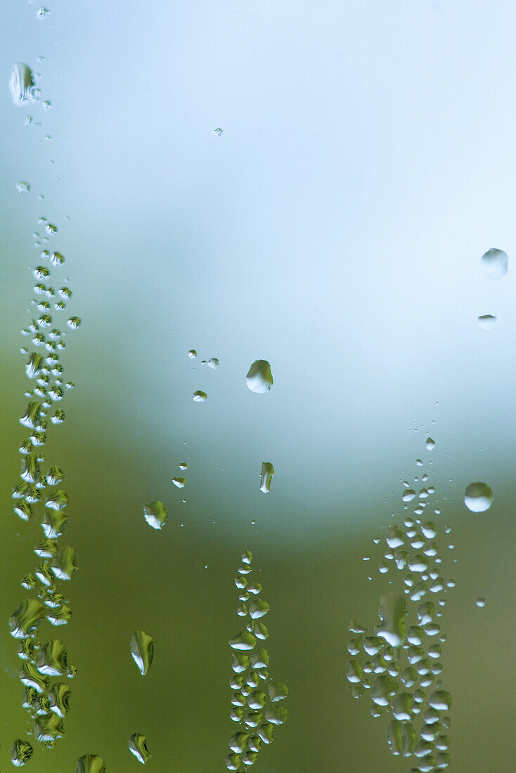 Drops of condensation on window pane