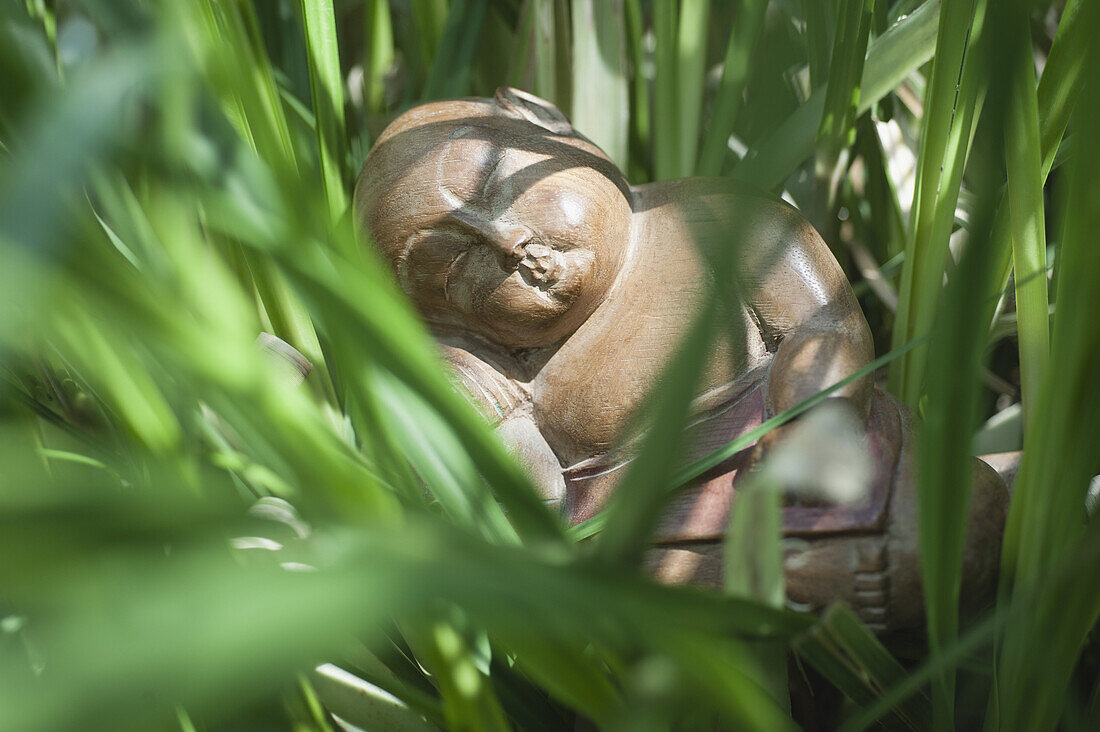 Buddha statue in grass