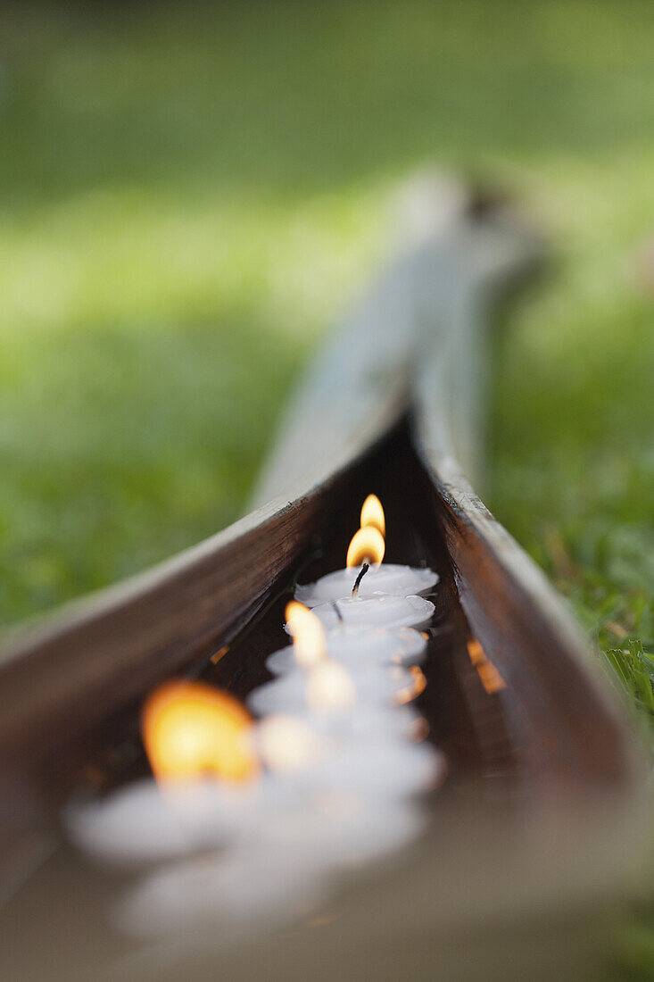 Lit votive candles floating in water cupped within palm leaf