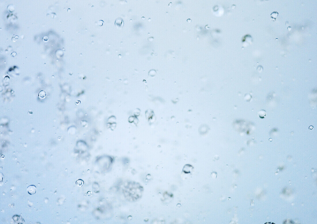 Drops of water