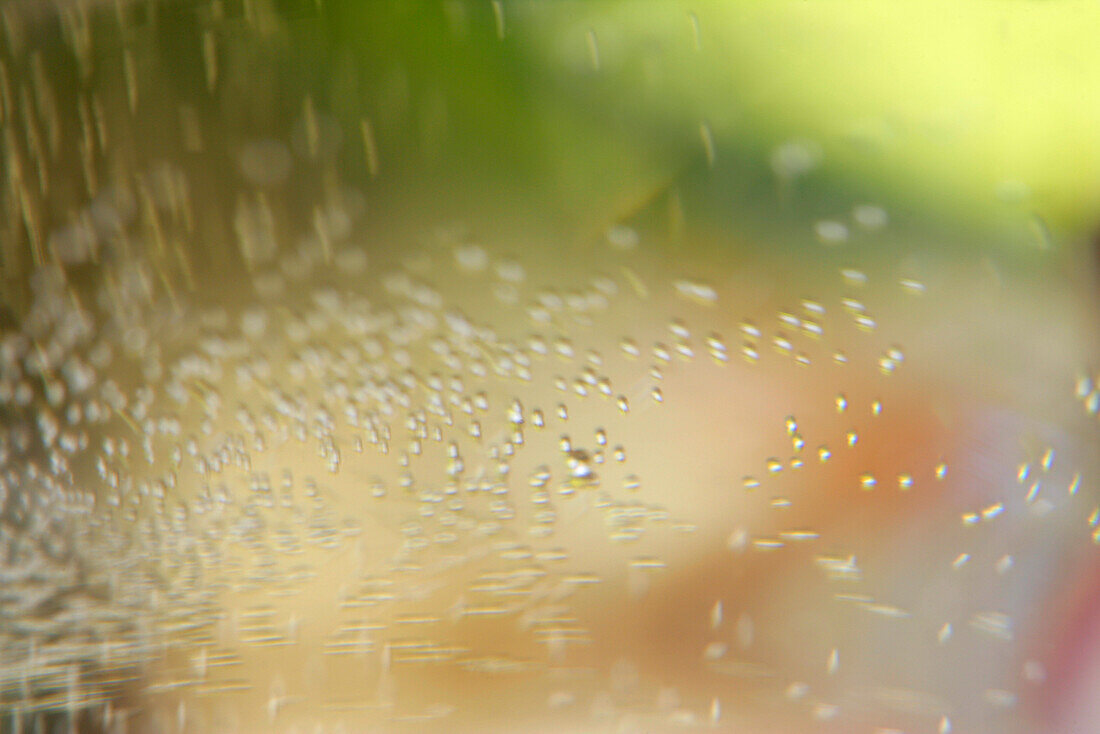Champagne bubbles, full frame